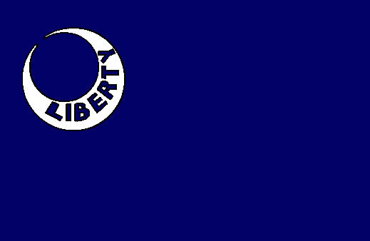 Fort Moultrie Flag