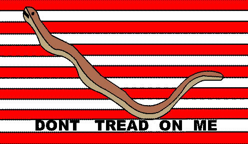 U.S. Navy Jack