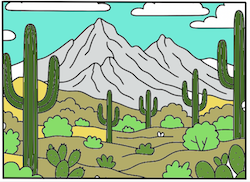 Arizona Coloring Book