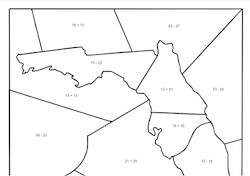 Florida Mosaic Math
