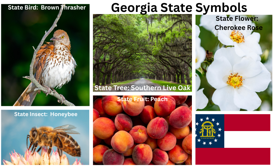 Georgia Symbols