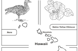 Hawaii Symbols