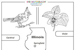 Illinois Symbols