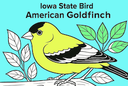 Iowa Coloring Book