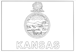 Kansas flag