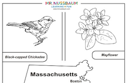 Massachusetts Printable symbols Coloring
