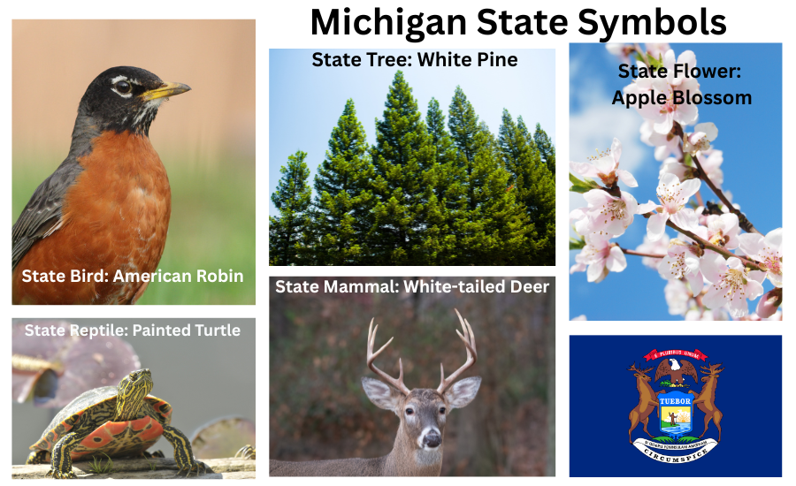 Michigan Symbols