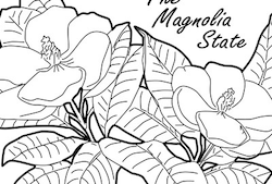 Mississippi State Quarter