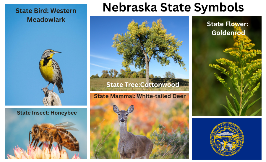 Nebraska Symbols