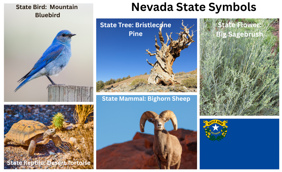 Nevada Symbols