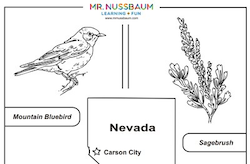 Nevada Symbols Coloring
