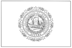 New Hampshire Flag