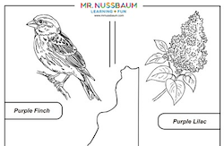 New Hampshire Printable symbols Coloring