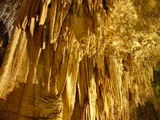 Carlsbad Caverns