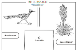 New Mexico Symbols Coloring