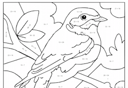 Eastern Bluebird Mosaic Math