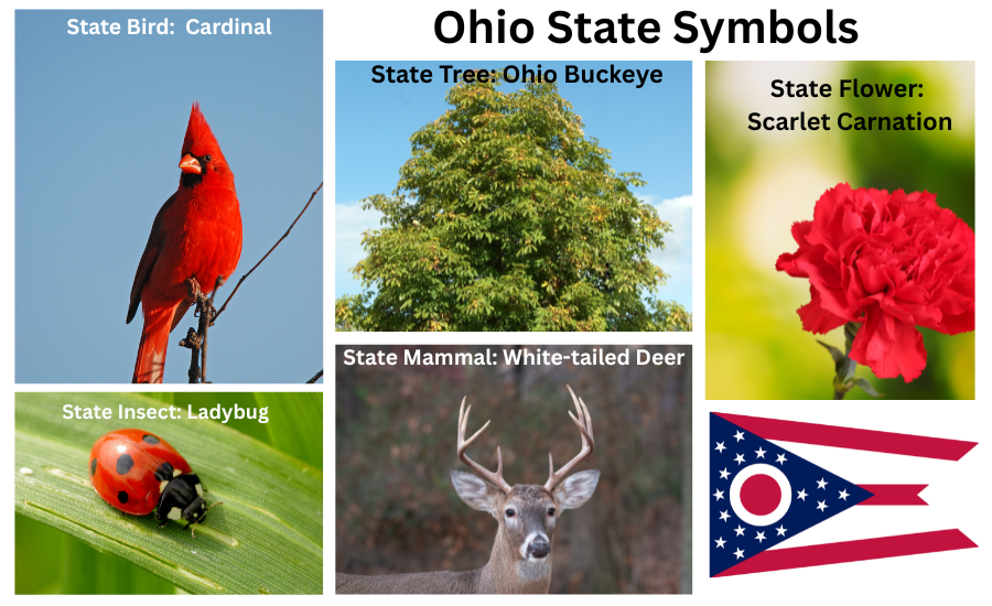 Ohio Symbols