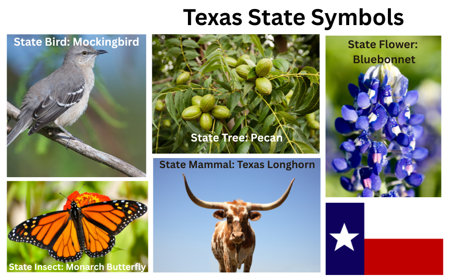 Texas Symbols