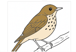 Vermont Online Coloring Book