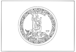 Virginia Flag